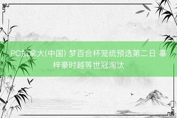 PC加拿大(中国) 梦百合杯笼统预选第二日 辜梓豪时越等世冠淘汰