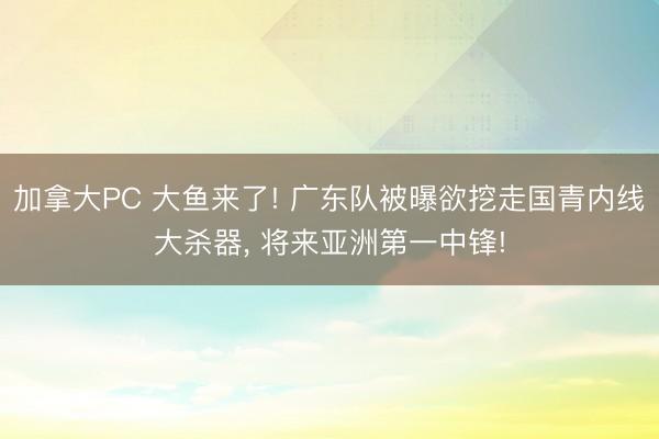 加拿大PC 大鱼来了! 广东队被曝欲挖走国青内线大杀器, 将来亚洲第一中锋!