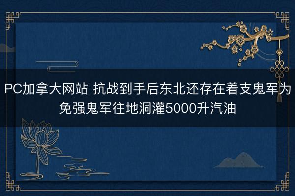 PC加拿大网站 抗战到手后东北还存在着支鬼军为免强鬼军往地洞灌5000升汽油