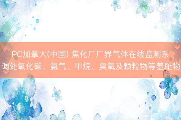 PC加拿大(中国) 焦化厂厂界气体在线监测系调处氧化碳、氨气、甲烷、臭氧及颗粒物等羞耻物
