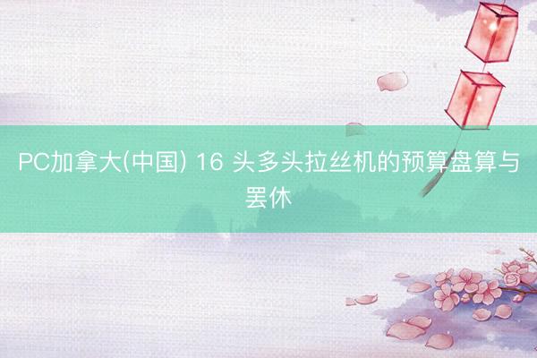 PC加拿大(中国) 16 头多头拉丝机的预算盘算与罢休