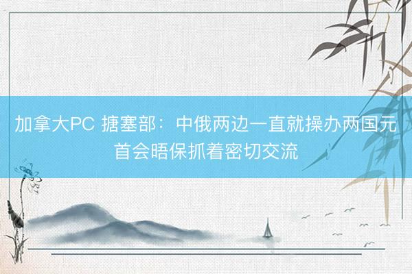 加拿大PC 搪塞部：中俄两边一直就操办两国元首会晤保抓着密切交流