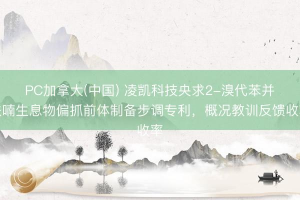 PC加拿大(中国) 凌凯科技央求2-溴代苯并呋喃生息物偏抓前体制备步调专利，概况教训反馈收率