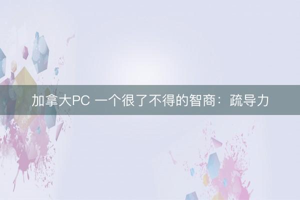 加拿大PC 一个很了不得的智商：疏导力