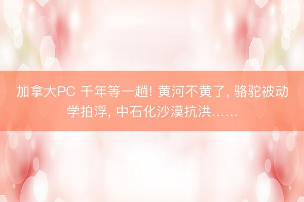 加拿大PC 千年等一趟! 黄河不黄了， 骆驼被动学拍浮， 中石化沙漠抗洪……