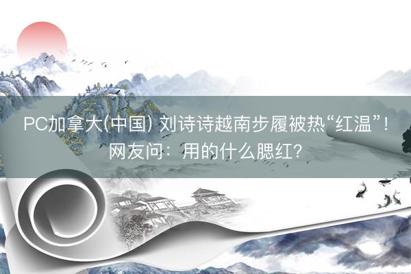 PC加拿大(中国) 刘诗诗越南步履被热“红温”！网友问：用的什么腮红？