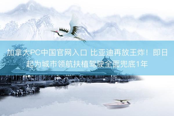 加拿大PC中国官网入口 比亚迪再放王炸！即日起为城市领航扶植驾驶全面兜底1年