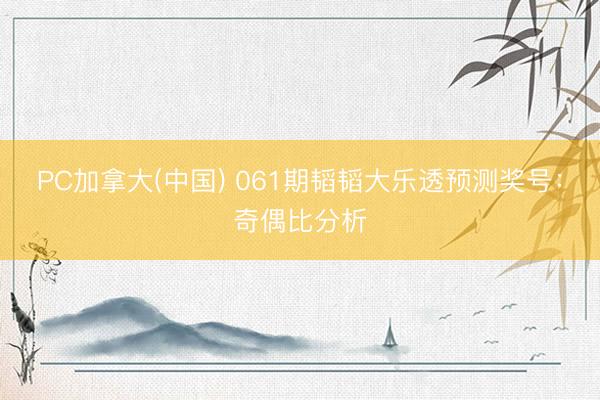 PC加拿大(中国) 061期韬韬大乐透预测奖号：奇偶比分析