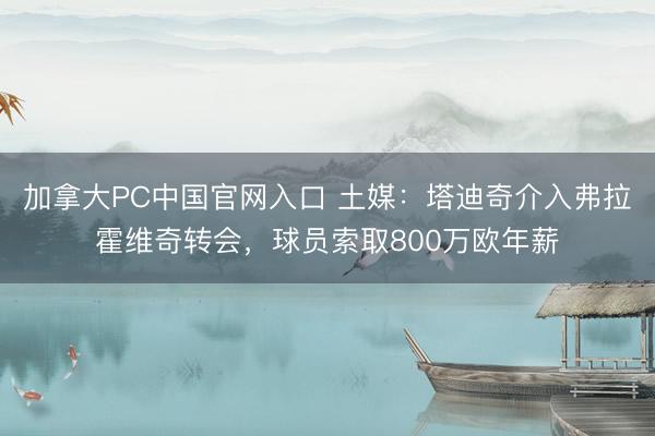 加拿大PC中国官网入口 土媒：塔迪奇介入弗拉霍维奇转会，球员索取800万欧年薪
