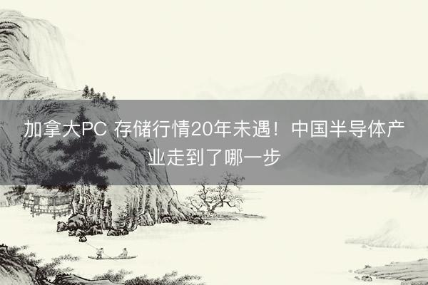加拿大PC 存储行情20年未遇！中国半导体产业走到了哪一步