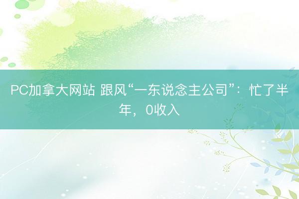 PC加拿大网站 跟风“一东说念主公司”：忙了半年，0收入