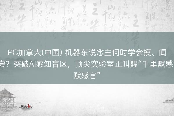 PC加拿大(中国) 机器东说念主何时学会摸、闻、尝？突破AI感知盲区，顶尖实验室正叫醒“千里默感官”