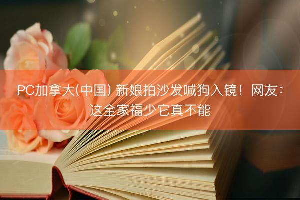 PC加拿大(中国) 新娘拍沙发喊狗入镜！网友：这全家福少它真不能