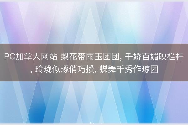 PC加拿大网站 梨花带雨玉团团, 千娇百媚映栏杆, 玲珑似琢俏巧攒, 蝶舞千秀作琼团