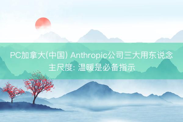 PC加拿大(中国) Anthropic公司三大用东说念主尺度: 温暖是必备指示