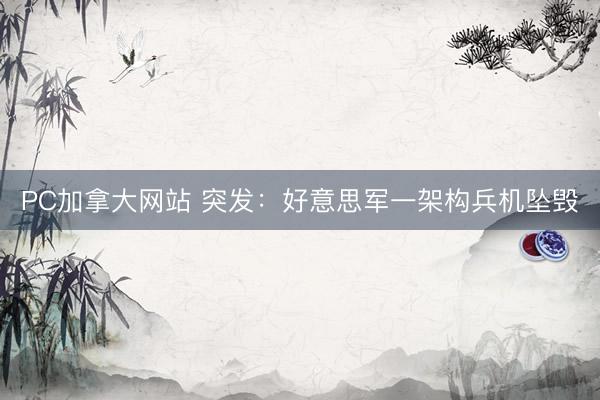 PC加拿大网站 突发：好意思军一架构兵机坠毁