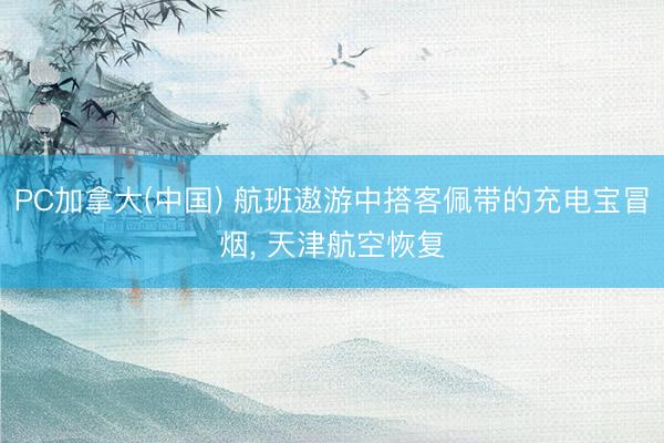 PC加拿大(中国) 航班遨游中搭客佩带的充电宝冒烟， 天津航空恢复