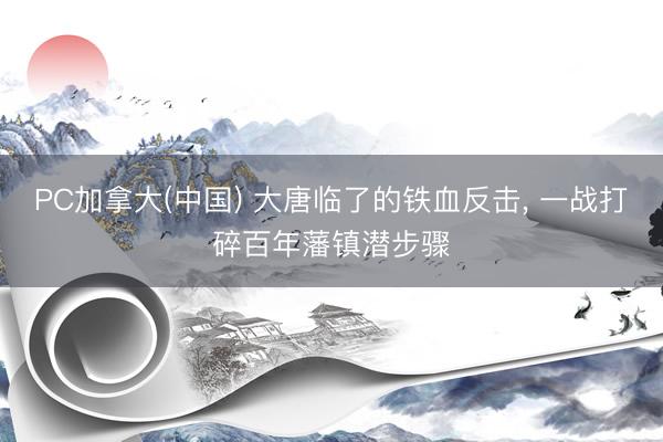 PC加拿大(中国) 大唐临了的铁血反击, 一战打碎百年藩镇潜步骤
