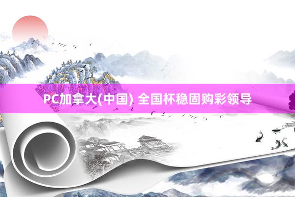 PC加拿大(中国) 全国杯稳固购彩领导
