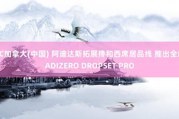 PC加拿大(中国) 阿迪达斯拓展搀和西席居品线 推出全新ADIZERO DROPSET PRO